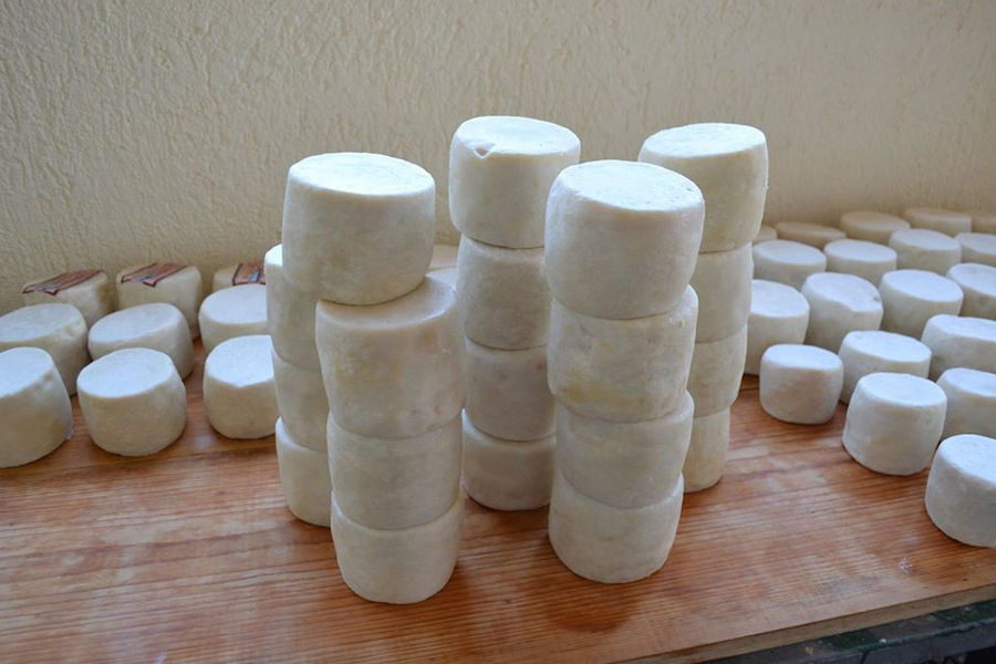 round white cheeses on top of each other on wood timber at 'Vasilas Dairy' plant